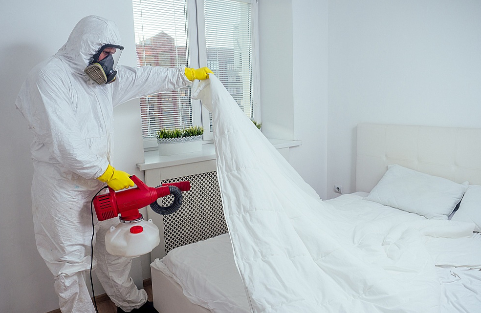 Piejūras pilsētā Soutendā, kas atrodas apmēram 60 km no Londonas, gultas blaktis savairojušās krietnā daudzumā. Turklāt daudzstāvu mājās ar tām gandrīz nav iespējams cīnīties, jo, tiklīdz kaitēkļi iznīdēti, tā ievācas jauni – no kaimiņiem.