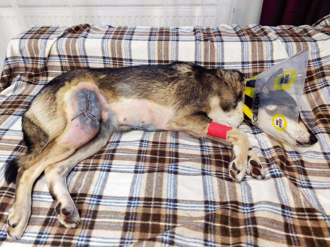 Mājās pēc operācijas.