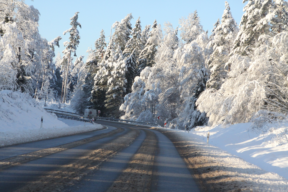 Ziema. Sniegs. Ilustratīvs attēls.