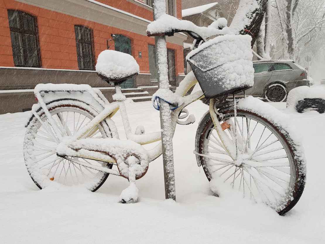Apsnidzis divritenis, velosipēds. 