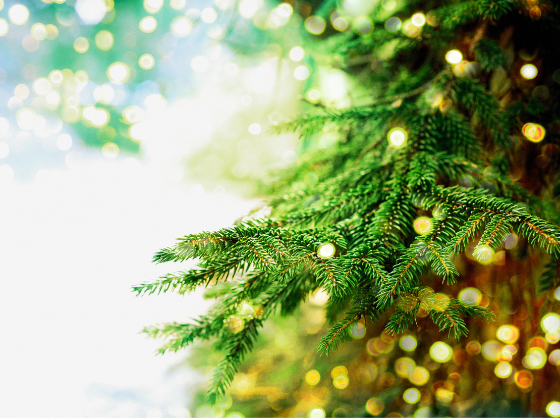 Ziemassvētku laiks.