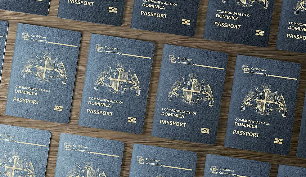 Dominikas pasu īpašnieki var ceļot bez vīzas uz 113 valstīm, arī uz visām 27 Eiropas Savienības dalībvalstīm. Šādas pases cena ir 100 000 eiro.