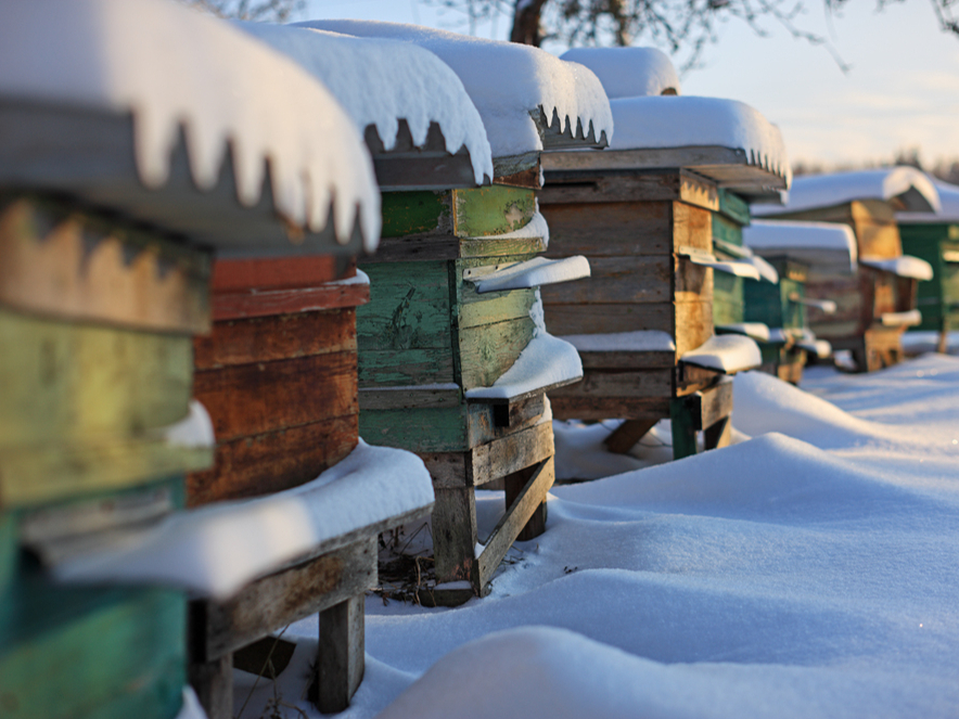 Postu dravā var nodarīt arī sniegs, kas sagāž stropu, noslīd kopā ar jumtiņu. Zeme ir vaļā, un kurmji turpina rosīties. Arī to radītie rakumi var apgāzt stropu.