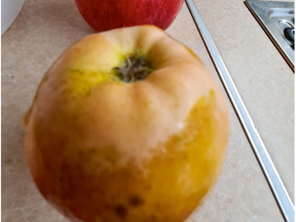 Ābolu stiklošanās.