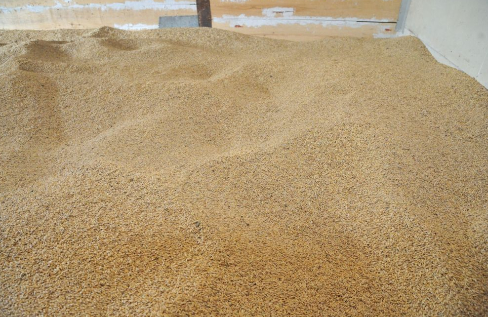 Ilustratīvs attēls.