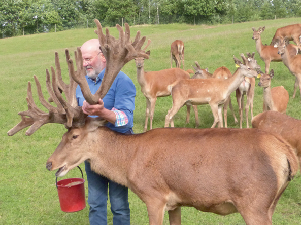 "Ja man ir zināšanas un iespējas izveidot produktus, kas nevar kaitēt, bet var nest labumu cilvēkiem cīņā ar slimībām, tad tas ir jāizdara!" teic Dr. Dainis Paeglītis. Attēlā Dainis kopā ar savu izcilo briedi Roko.