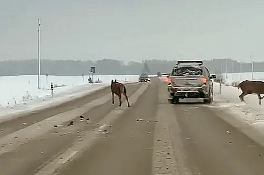 Par šāvēja briesmu darbiem sabiedrība uzzināja no svētdien sociālajos tīklos izplatītā aculiecinieku videoieraksta.