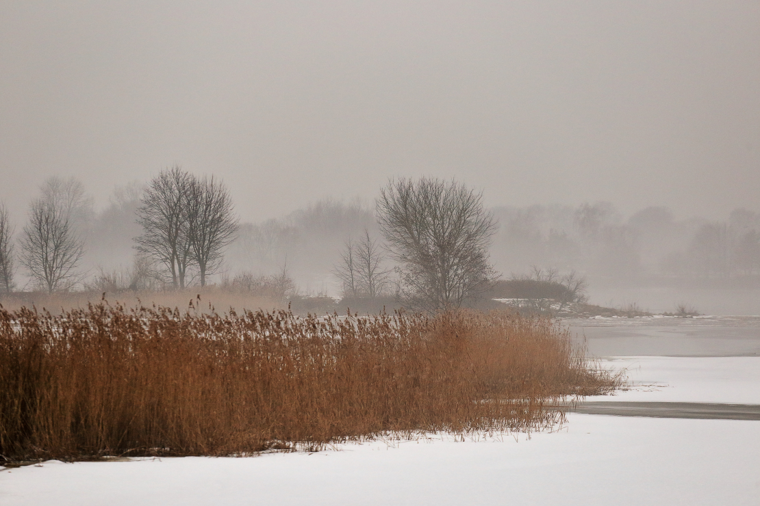 Ziema, migla, atkusnis.