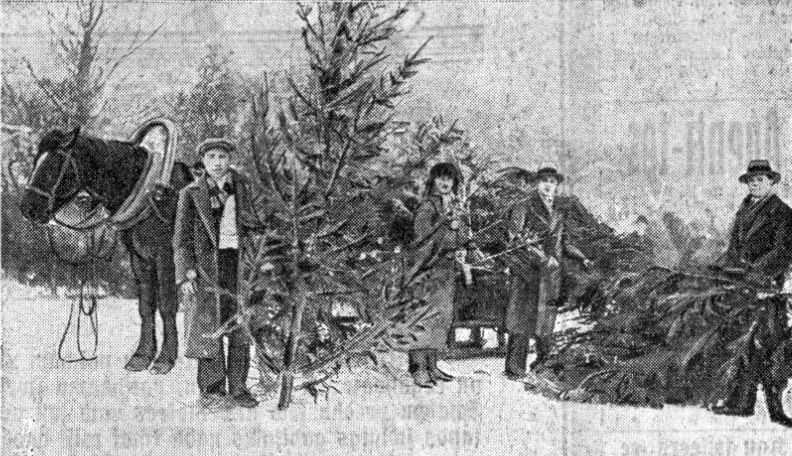 Eglīšu pārdevēji Rīgā 1933. gadā.