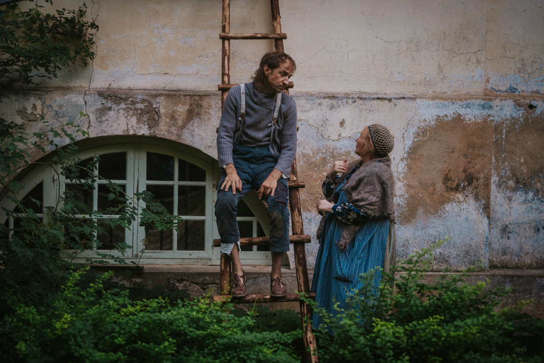 Daudzsēriju filma "Pansija pilī".