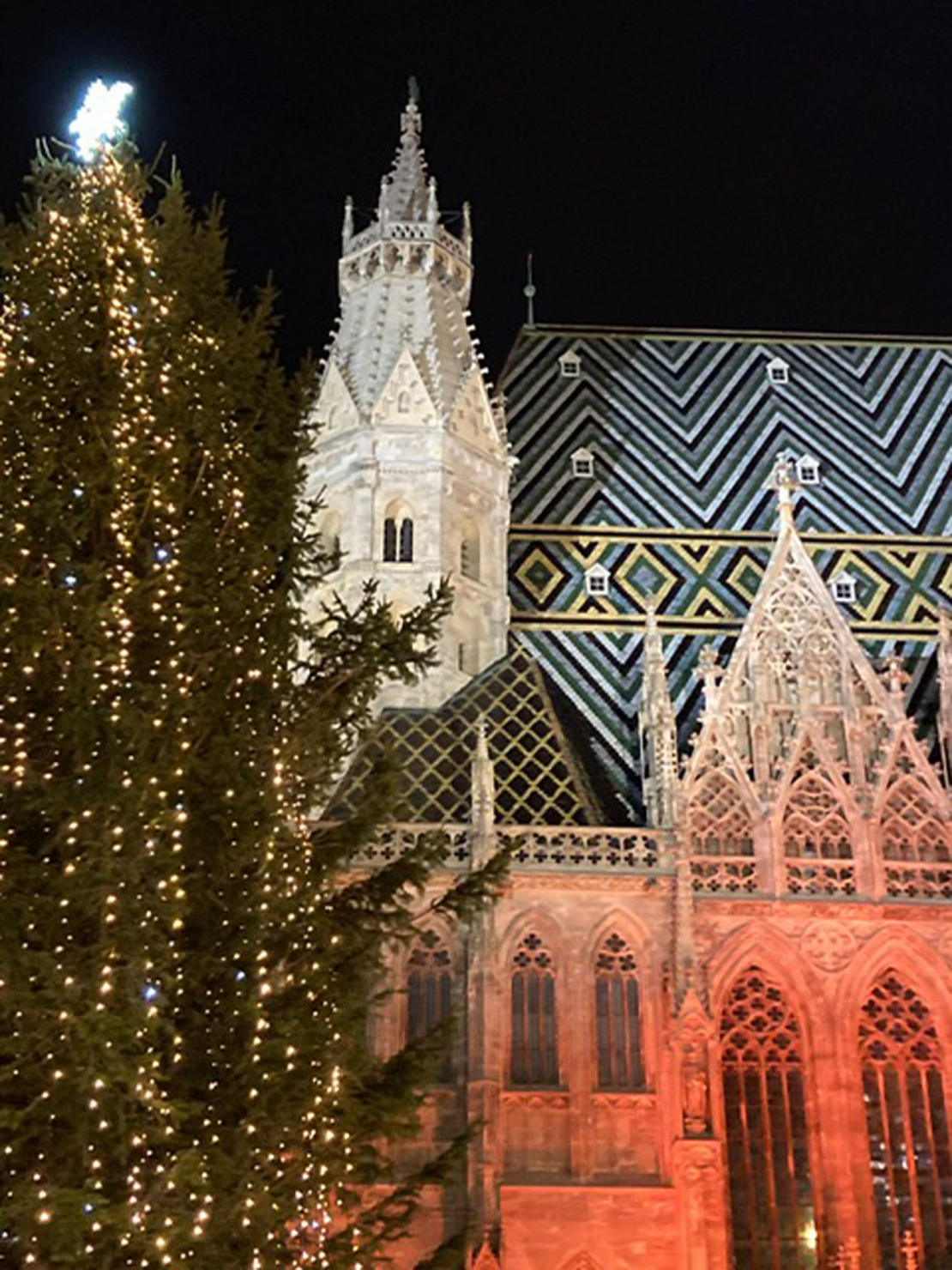 Ziemassvētku egle pie izgaismotās Svētā Stefana baznīcas.