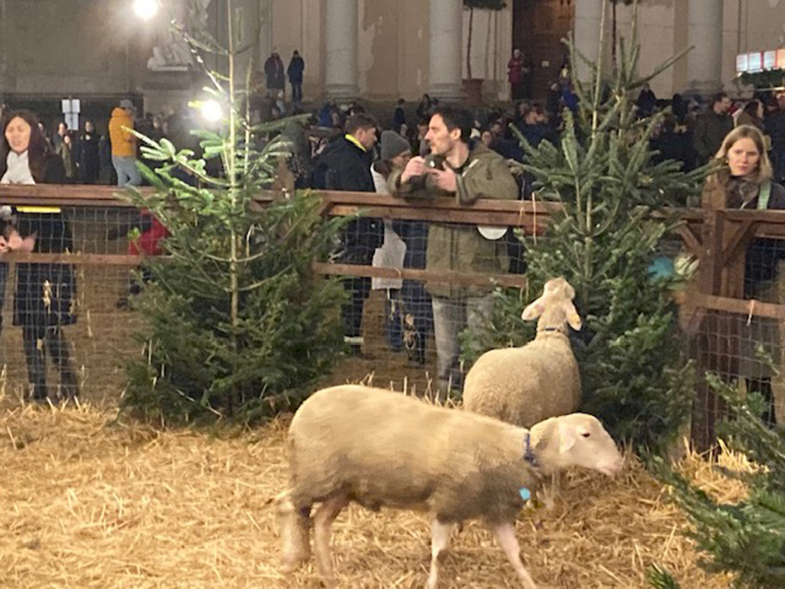 Arī Vīnes Ziemassvētku tirdziņos ir dzīvi jēri, salmi un stilizētas kūtiņas.