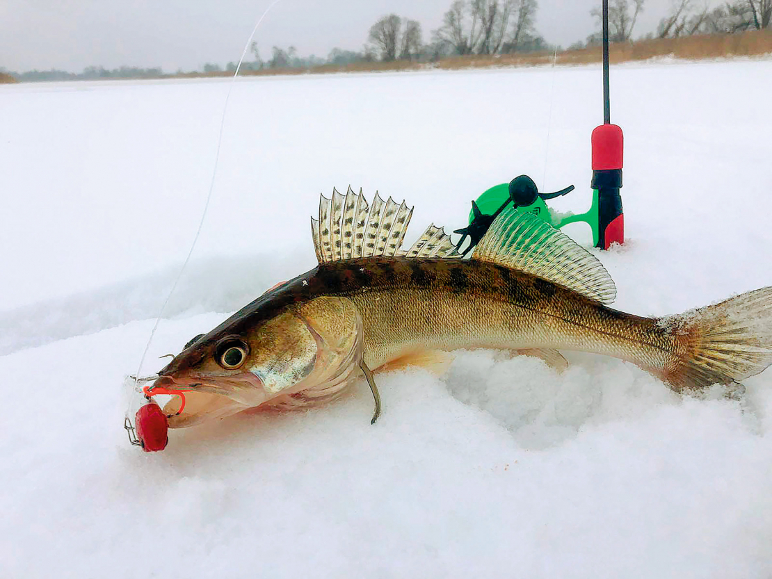 Ziemas zandarta vilinājums.