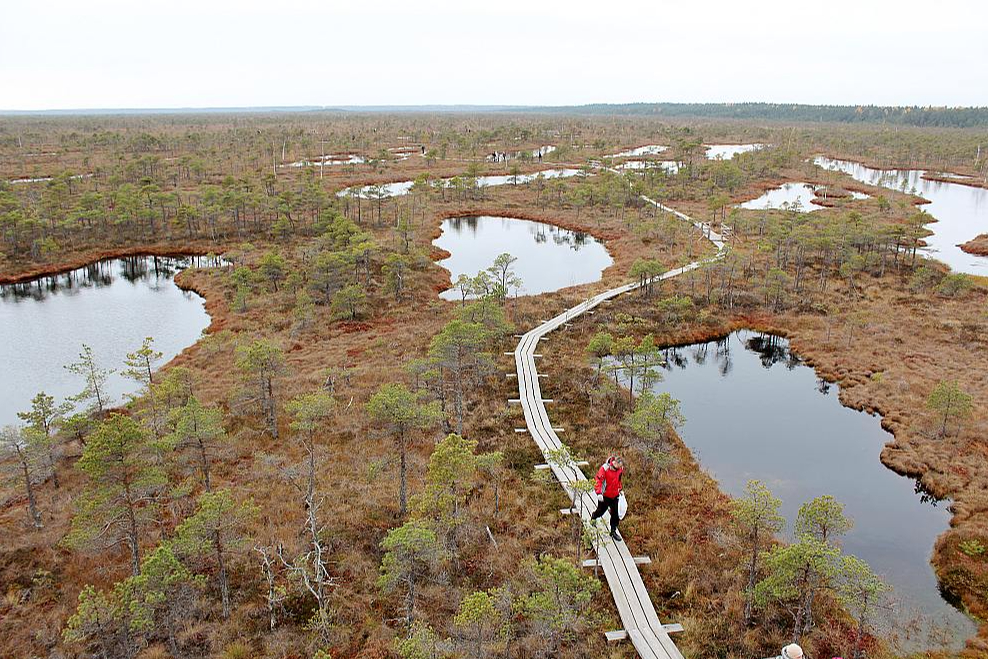Latvijas dabas takas iekļautas prestižā tūrisma ceļveža "Lonely Planet" 50. jubilejas izdevumā. Te redzama Ķemeru tīreļa laipa no skatu laukuma.