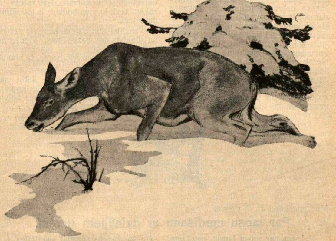 Ilustrācija izdevumā "Mednieks un Makšķernieks" (01.10.1927.).