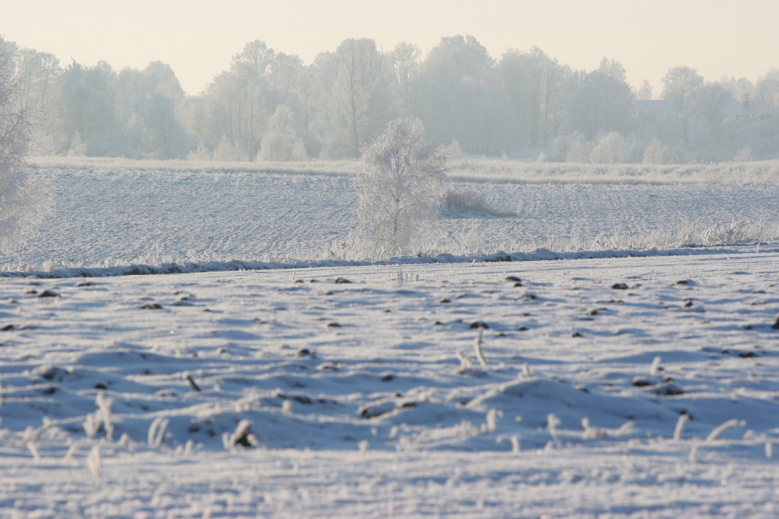 Ziema. Ilustratīvs attēls.