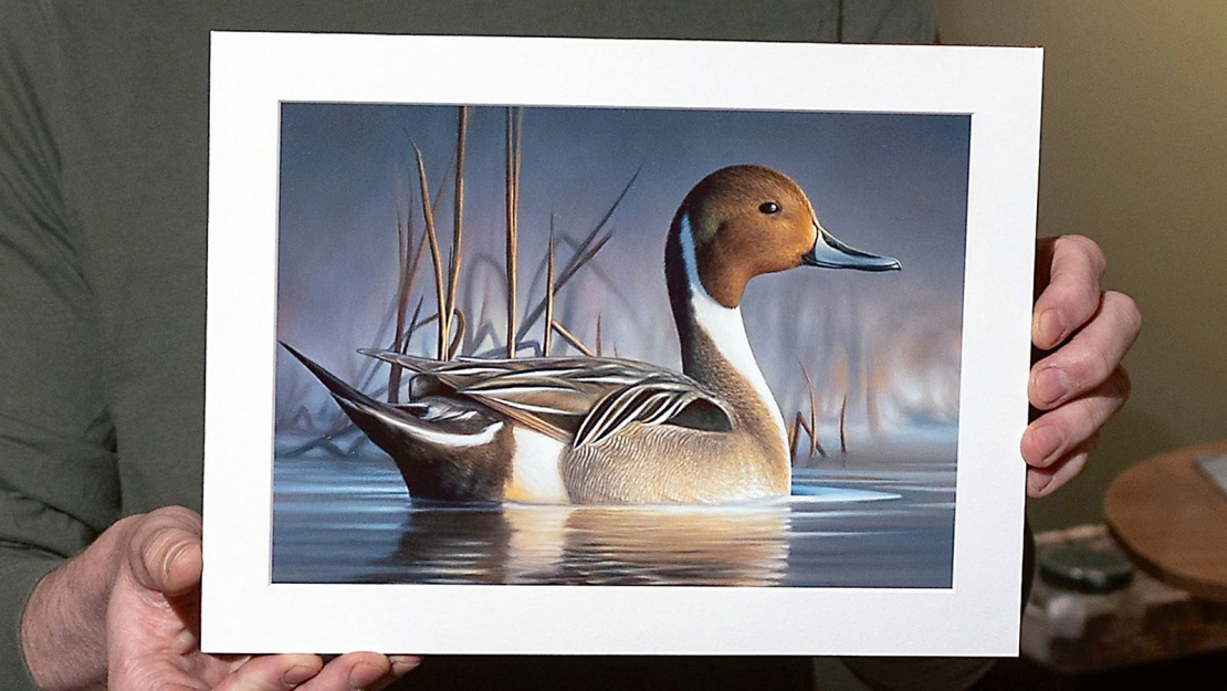 2024./2025. gada sezonas "Federal Duck Stamp" konkurss par attēlu, kas būs redzams uz gaidāmās medību sezonas markas, aizvadīts jau pagājušā gada septembrī. Tajā uzvarējis mākslinieks Čaks Bleks, kas eļļas glezniecības tehnikā uzgleznojis garkakli.