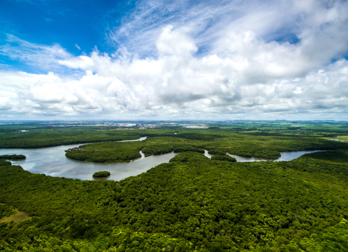 Pāri vismaz 7000 kilometru garajai Amazonei nav pilnībā neviena tilta!