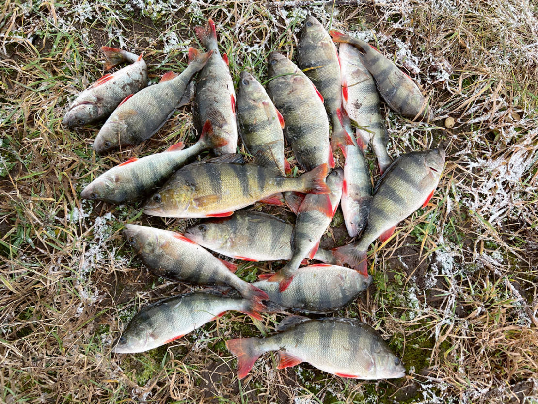 Ziemassvētku galds sarūpēts.