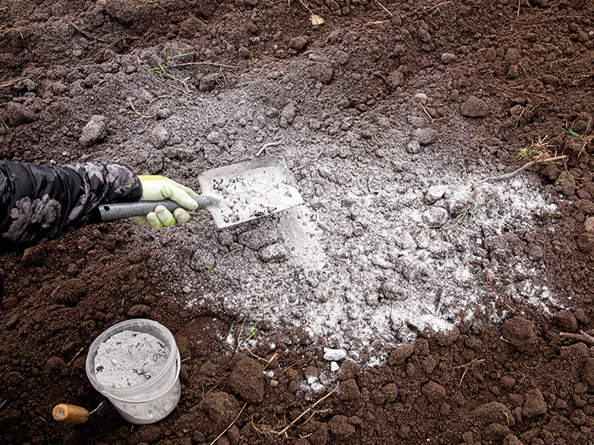 Pelni satur gan augiem vajadzīgas, gan nevajadzīgas vielas, tāpēc ar to izmantošanu dārzā nevajadzētu aizrauties.