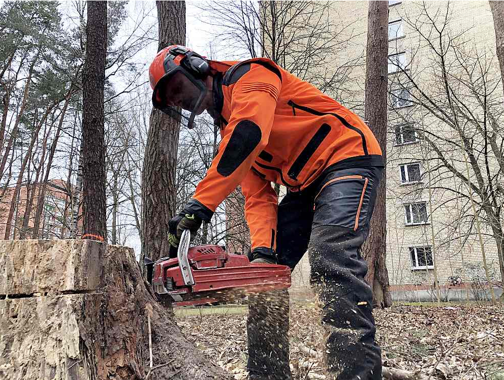 Kad harvesters savu darbu ir beidzis, tad cirsmā dodas vīri ar rokas instrumentiem. Viņu uzdevums ir tīrīt pamežu, atstājot bioloģiskajai daudzveidībai nepieciešamos augstos celmus un trūdošus koku stumbrus.