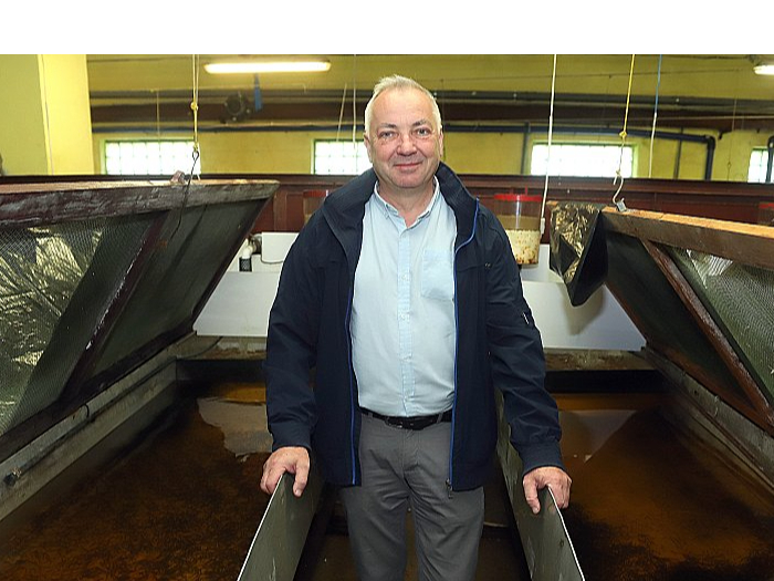 Zivju audzētavas "Tome" vadītājs Ivars Putviķis: "Šogad maija sākumā Daugavas grīvā pie Bolderājas ielaidām ap 300 000 pagājušajā gadā zivju audzētavā izaudzēto lašu mazuļu."