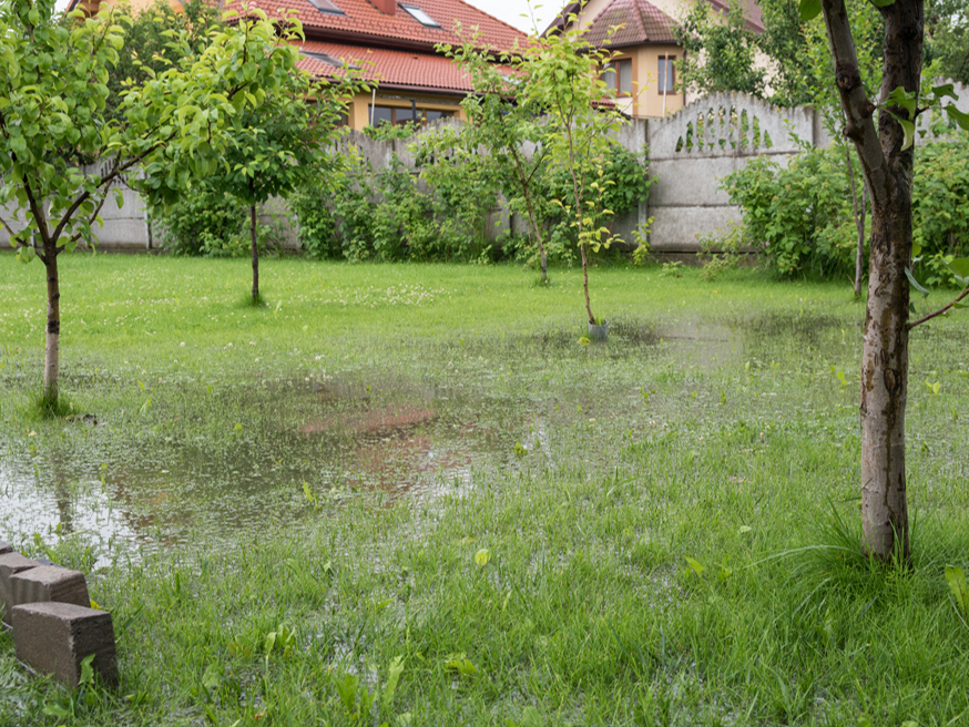 Augsts gruntūdens līmenis.