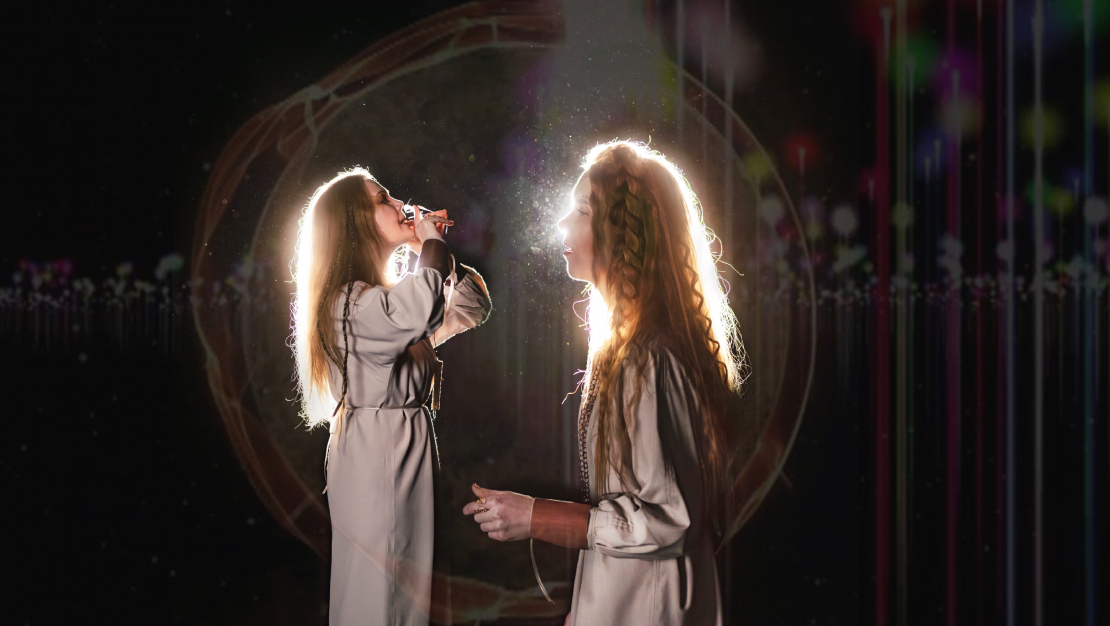Duets "Sinerģija".
