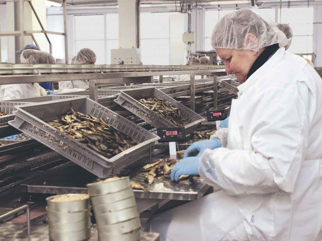Eiropas Komisijas pēkšņā vēlme pārskatīt normas tradicionāli kūpinātiem zivju produktiem varot kopumā negatīvi ietekmēt visu Latvijas zivju pārstrādes nozari, bet īpaši tos uzņēmumus, kas ražo un eksportē dūmos kūpinātas šprotes.