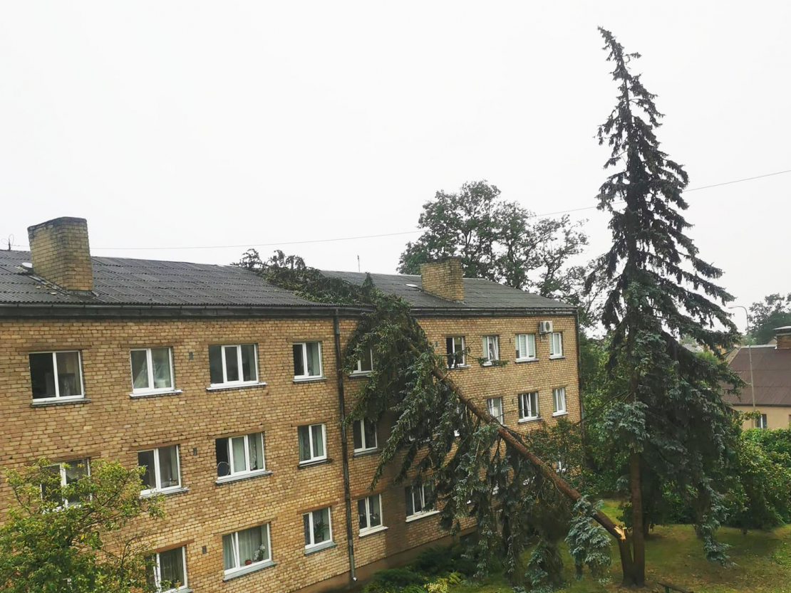 Negaiss Bauskā.