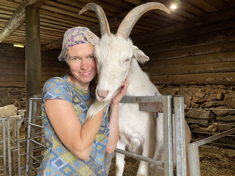 “Gredzenu” kūtī katru ienācēju sagaida āzis un ļauj sevi gan samīļot, gan sabučot. Saimniecei Dacei Šulcei viņš allaž uzlabo omu.