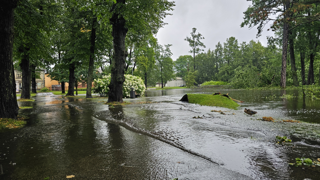 Arkādijas parks. Vētras sekas. Plūdi.