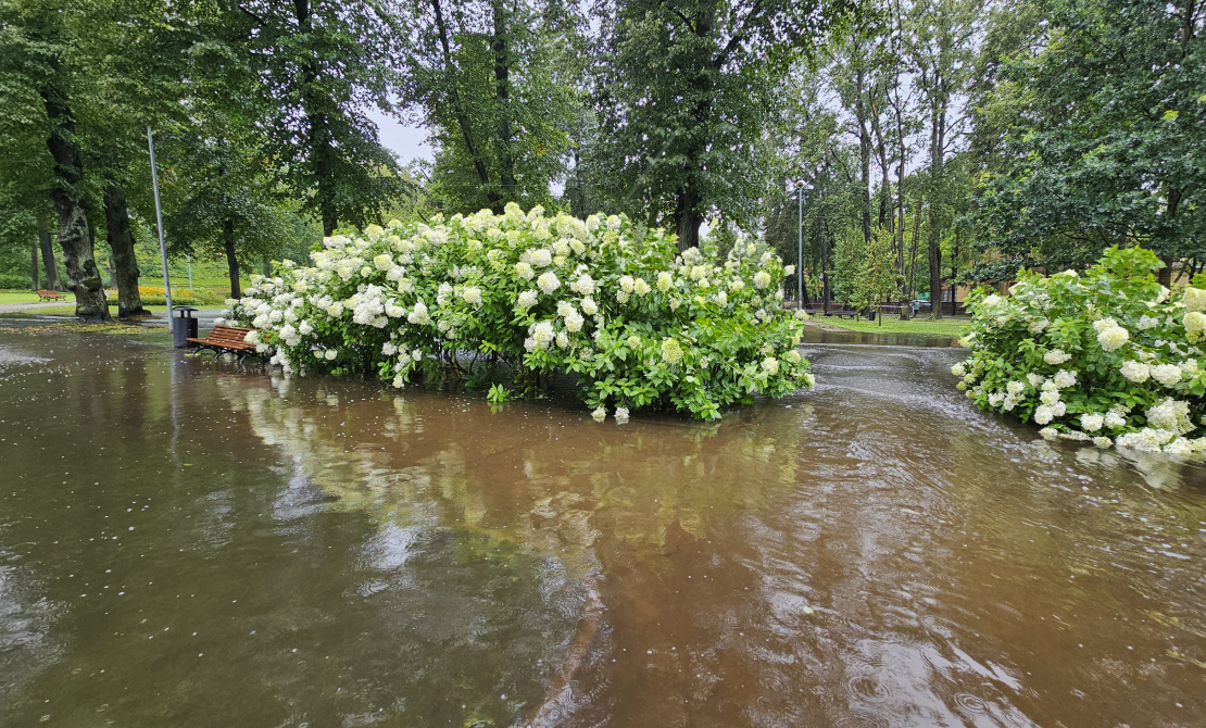 Arkādijas parks. Vētras sekas. Plūdi.