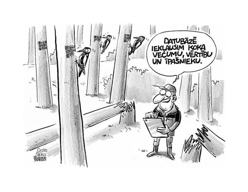Zīmē Gatis Šļūka. Katrs koks tiks pieskatīts!