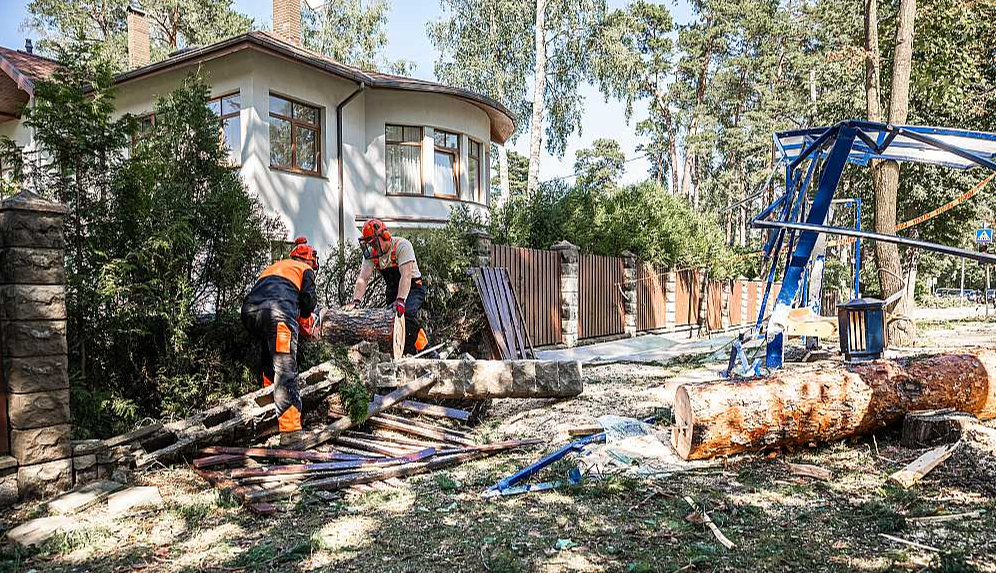Jūrmalā kritušos kokus novākt palīdzēja arī Nacionālo bruņoto spēku karavīri.