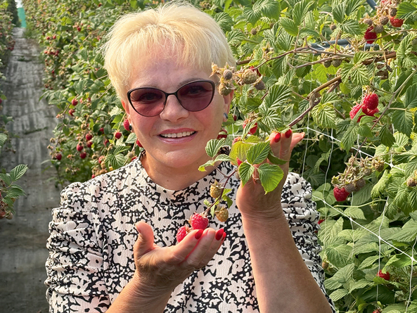 Inese Lindermane – Dirvēna: "Eiropā ļoti augsti vērtētās vasaras aveņu šķirnes 'Glen Ample' ogas ir stingras, ļoti garšīgas, dzinumi bez dzeloņiem. Ogām ir ļoti laba kvalitāte. Avene ir viscimperlīgākā oga, to nevar likt puskilograma ietilpības kastītē tāpēc, ka apakšējā oga apvainojas – sāk raudāt un tecēt."