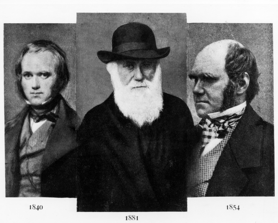 Čārlzs Darvins 1840. 1881. un 1854. gadā.