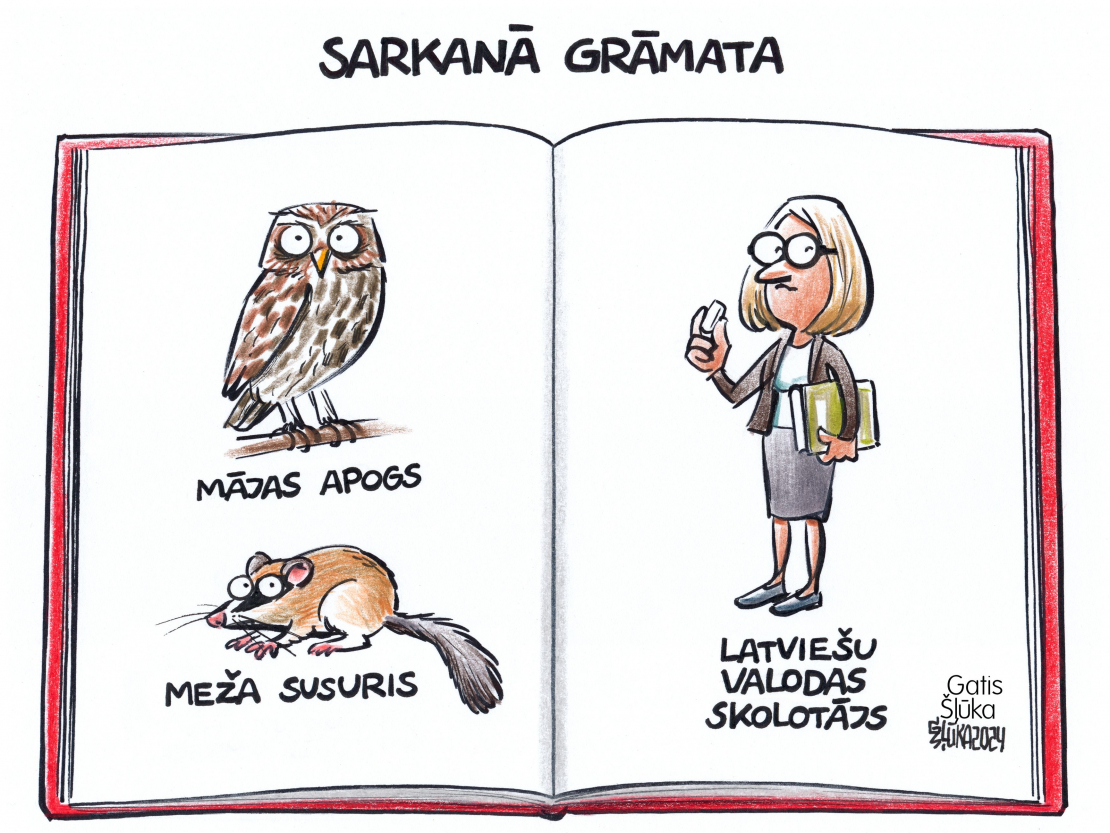 Zīmē Gatis Šļūka: Skolotājs un realitāte