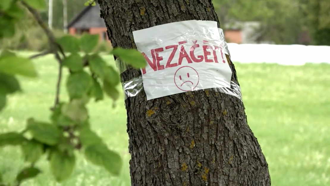 Uzzinot par ābeļu izzāģēšanas ideju, iedzīvotāji nekavējoties sāka zīmēt plakātus, ko izvietot uz ābelēm.