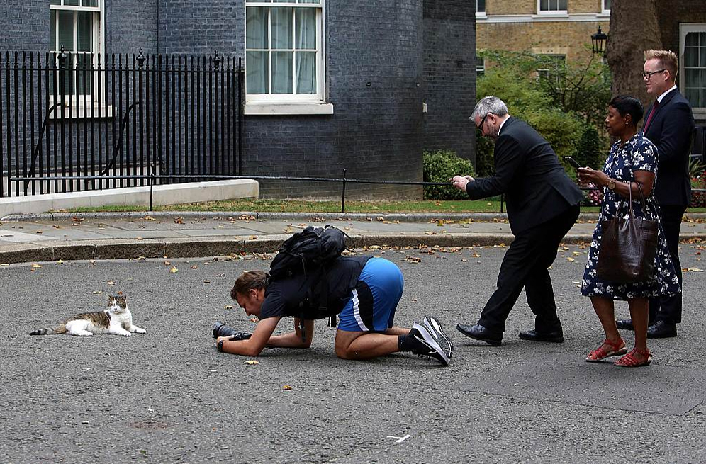 Britu premjerministra rezidences kaķim Larijam Dauningstrītā nav trūcis ne politiķu, ne fotogrāfu uzmanības.