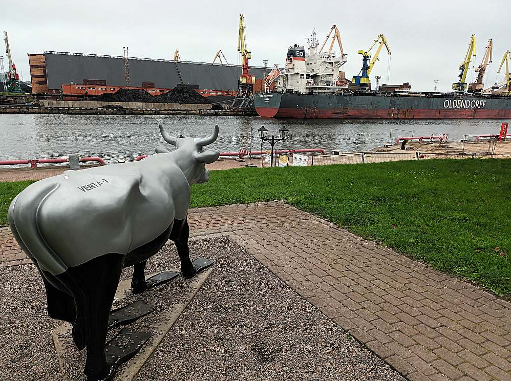 Katrai Latvijas ostai bija savu kravu grupu specializācija. Tagadējos apstākļos visgrūtāk pāprofilēties ir termināļiem, kas pārkrāva ogles un naftas produktus. Enerģētikas krīzes laikā Latvijas ostās savus papildu ogļu krājumus uzglabāja Polija, taču tagad tas vairs nenotiek. Attēlā: kuģis ar poļu oglēm Ventspils ostas piestātnē pagājušā gada augustā.