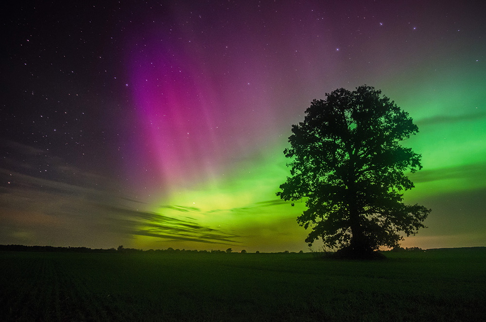 Aurora borealis jeb ziemeļblāzma, jeb kāvi ir atmosfēras augšējo slāņu (jonosfēras) spīdēšana, gaisa molekulām mijiedarbojoties ar Saules vēja daļiņām.