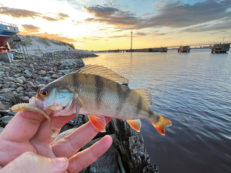 Street fishing.