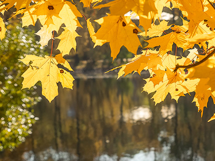 Rudens laiks.