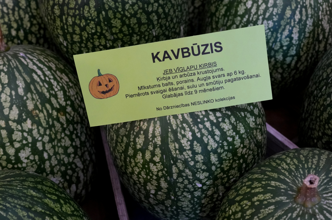 Izstāde "Ķirbjaugi un paprika 2024" Latvijas Dabas muzejā.