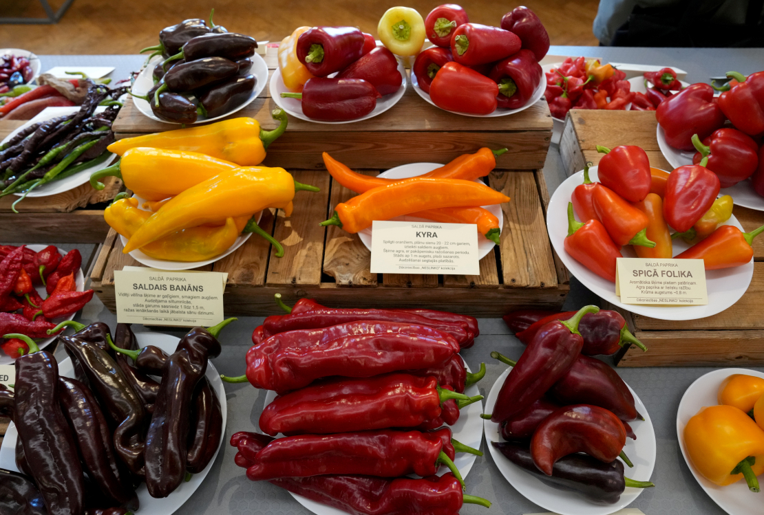 Izstāde "Ķirbjaugi un paprika 2024" Latvijas Dabas muzejā.