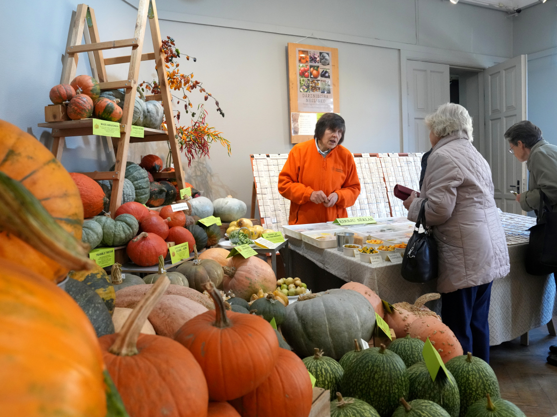 Izstāde "Ķirbjaugi un paprika 2024" Latvijas Dabas muzejā.