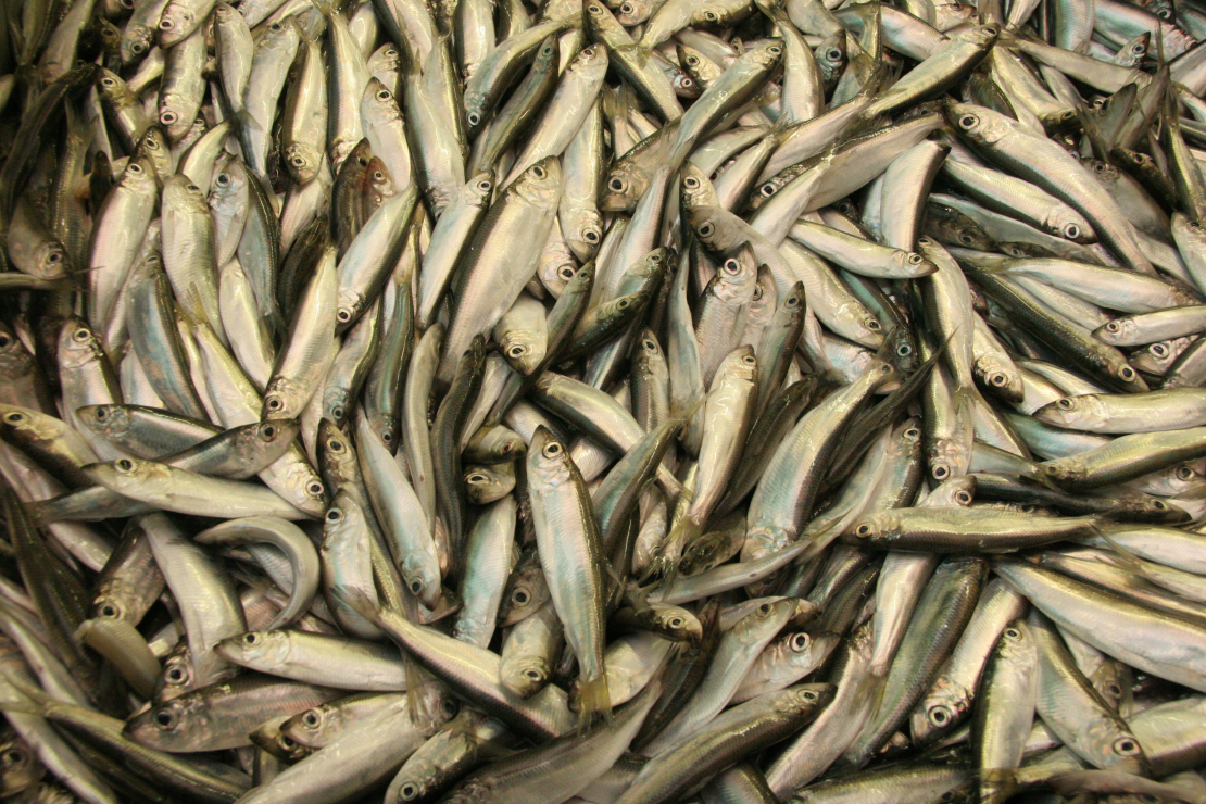 Brētliņas.