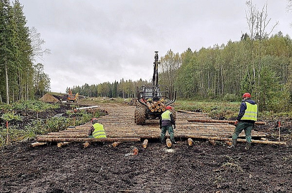 Uz garenvirzienā izvietotiem baļķiem pamīšus tiek klāti sīkbaļķi, noslēgumā konstrukcija tiks iekūdrota ar turpat iegūto kūdru.