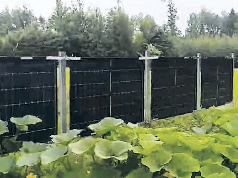 Vertikālie saules paneļi ir izmantojami ne tikai zaļās enerģijas ražošanai, tie palīdz arī uzlabot eksotisku dārza kultūru ražību. Attēlā – meloņu lauks.